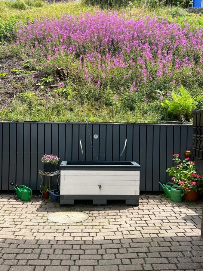 Modernes Top Apartment Mitten Im Bayerischen Wald + Wlan Kostenfrei Schofweg Екстер'єр фото